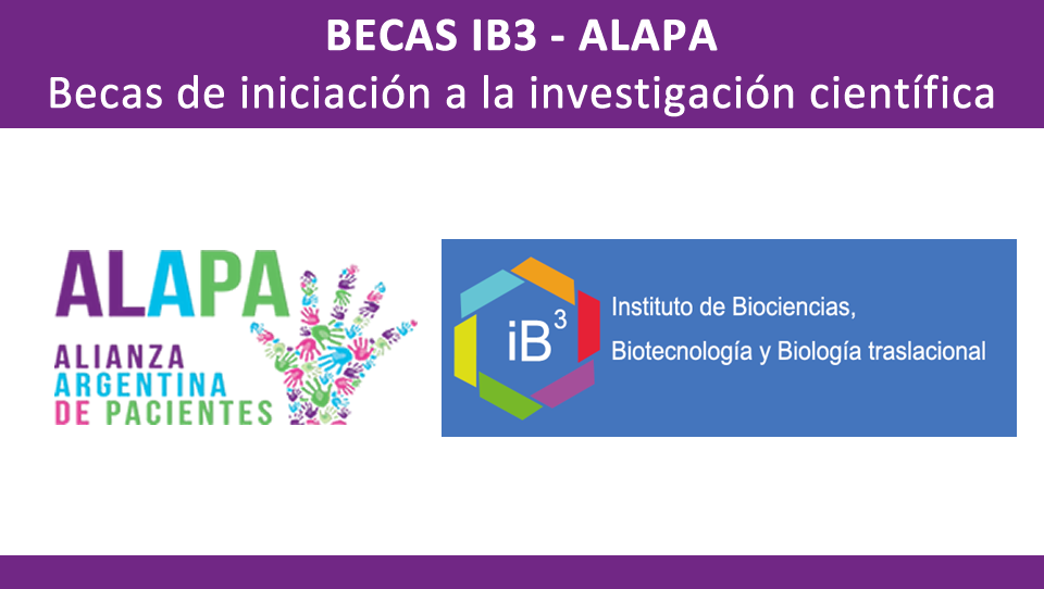 Becas ALAPA – IB3
